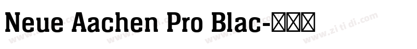 Neue Aachen Pro Blac字体转换